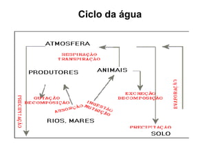 Ciclo da água
 
