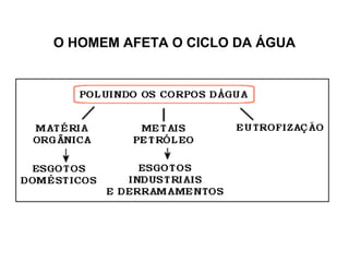 O HOMEM AFETA O CICLO DA ÁGUA
 