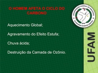 O HOMEM AFETA O CICLO DO
       CARBONO


Aquecimento Global;

Agravamento do Efeito Estufa;

Chuva ácida;

Destruição da Camada de Ozônio.
 