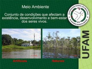 Meio Ambiente
 Conjunto de condições que afectam a
existência, desenvolvimento e bem-estar
             dos seres vivos.




      Artificiais             Naturais
 