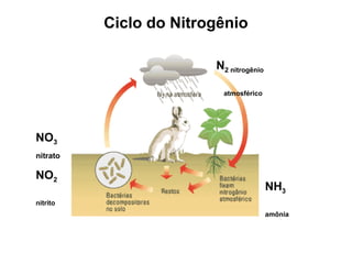 Ciclo do Nitrogênio

                        N2 nitrogênio

                          atmosférico




NO3
nitrato

NO2
                                        NH3
nitrito
                                        amônia
 