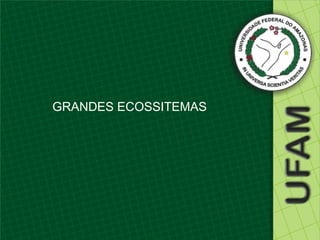 GRANDES ECOSSITEMAS
 