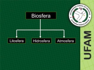 Biosfera



Litosfera   Hidrosfera   Atmosfera
 