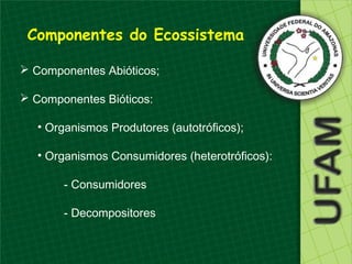 Componentes do Ecossistema

 Componentes Abióticos;

 Componentes Bióticos:

   • Organismos Produtores (autotróficos);

   • Organismos Consumidores (heterotróficos):

       - Consumidores

       - Decompositores
 