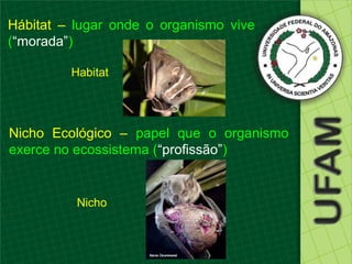 Hábitat – lugar onde o organismo vive
(“morada”)

         Habitat




Nicho Ecológico – papel que o organismo
exerce no ecossistema (“profissão”)


          Nicho
 