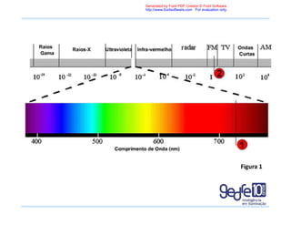 Figura 1
Generated by Foxit PDF Creator © Foxit Software
http://www.foxitsoftware.com For evaluation only.
 