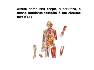 Assim como seu corpo, a natureza, o
nosso ambiente também é um sistema
complexo
 