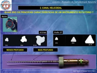 Prof. Marco A. Versiani, D.D.S., M.Sc.
Conceitos Avançados em Instrumentação Rotatória
QUAIS SÃO OS PRINCIPAIS CARACTERÍSTICAS DE UM INSTRUMENTO ROTATÓRIO ?
2. CANAL HELICOIDAL
MENOS PROFUNDO MAIS PROFUNDO
Núcleo
K3 Endo Profile, GT
 