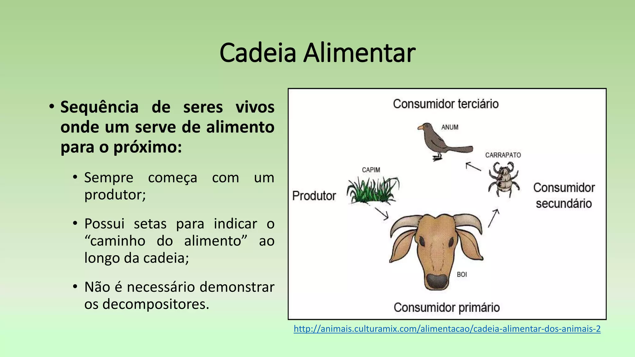 Cadeia Alimentar
• Sequência de seres vivos
onde um serve de alimento
para o próximo:
• Sempre começa com um
produtor;
• Possui setas para indicar o
“caminho do alimento” ao
longo da cadeia;
• Não é necessário demonstrar
os decompositores.
http://animais.culturamix.com/alimentacao/cadeia-alimentar-dos-animais-2
 