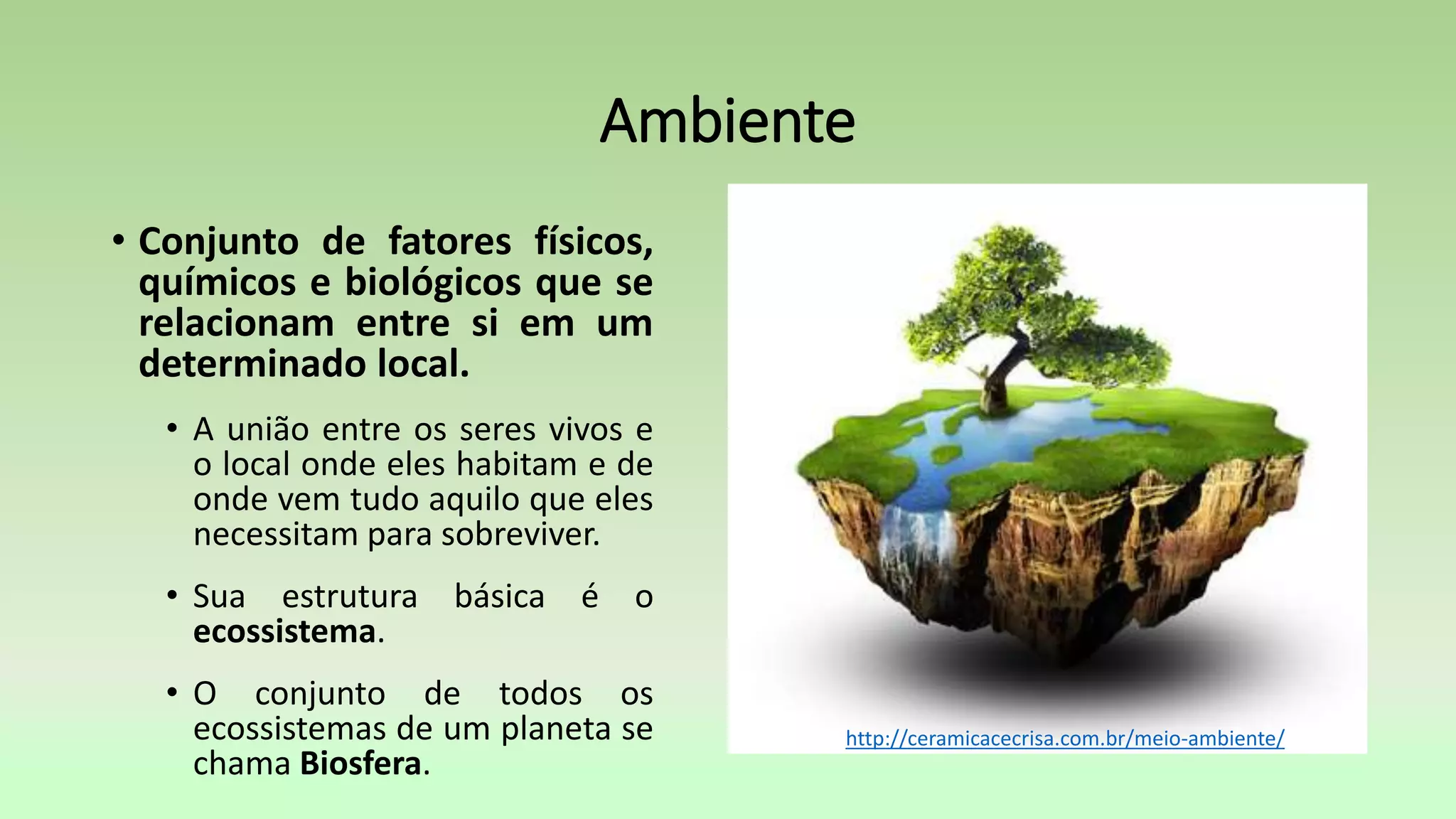 Ambiente
• Conjunto de fatores físicos,
químicos e biológicos que se
relacionam entre si em um
determinado local.
• A união entre os seres vivos e
o local onde eles habitam e de
onde vem tudo aquilo que eles
necessitam para sobreviver.
• Sua estrutura básica é o
ecossistema.
• O conjunto de todos os
ecossistemas de um planeta se
chama Biosfera.
http://ceramicacecrisa.com.br/meio-ambiente/
 
