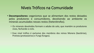 • Decompositores: organismos que se alimentam dos restos deixados
pelos produtores e consumidores, devolvendo ao ambiente os
minerais acumulados nesses restos (heterótrofos).
• Os minerais devolvidos formam o adubo do solo, que mantém os produtores
vivos, fechando o ciclo.
• Esse nível trófico é exclusivo dos membros dos reinos Monera (bactérias),
Protista (protozoários) e Fungi (fungos).
Níveis Tróficos na Comunidade
 