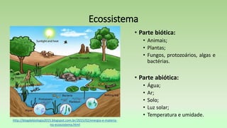 Ecossistema
• Parte biótica:
• Animais;
• Plantas;
• Fungos, protozoários, algas e
bactérias.
• Parte abiótica:
• Água;
• Ar;
• Solo;
• Luz solar;
• Temperatura e umidade.
http://blogdebiologia2015.blogspot.com.br/2015/02/energia-e-materia-
no-ecossistema.html
 
