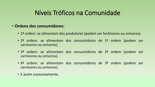• Ordens dos consumidores:
• 1ª ordem: se alimentam dos produtores (podem ser herbívoros ou onívoros).
• 2ª ordem: se alimentam dos consumidores de 1ª ordem (podem ser
carnívoros ou onívoros).
• 3ª ordem: se alimentam dos consumidores de 2ª ordem (podem ser
carnívoros ou onívoros).
• 4ª ordem: se alimentam dos consumidores de 3ª ordem (podem ser
carnívoros ou onívoros).
• E assim sucessivamente.
Níveis Tróficos na Comunidade
 