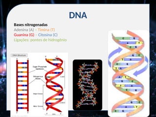 DNA
Bases nitrogenadas
Adenina (A) – Timina (T)
Guanina (G) – Citosina (C)
Ligações: pontes de hidrogênio
 