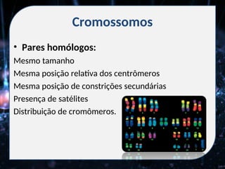 Cromossomos
• Pares homólogos:
Mesmo tamanho
Mesma posição relativa dos centrômeros
Mesma posição de constrições secundárias
Presença de satélites
Distribuição de cromômeros.
 