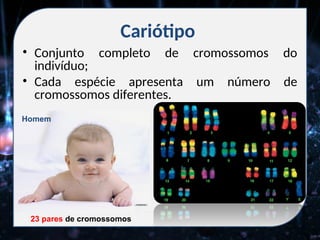 Cariótipo
• Conjunto completo de cromossomos do
indivíduo;
• Cada espécie apresenta um número de
cromossomos diferentes.
23 pares de cromossomos
Homem
 