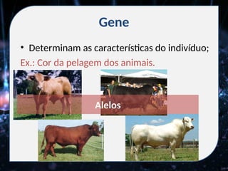 Gene
• Determinam as características do indivíduo;
Ex.: Cor da pelagem dos animais.
Alelos
 