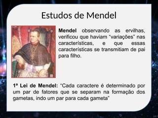Estudos de Mendel
1ª Lei de Mendel: “Cada caractere é determinado por
um par de fatores que se separam na formação dos
gametas, indo um par para cada gameta”
Mendel observando as ervilhas,
verificou que haviam “variações” nas
características, e que essas
características se transmitiam de pai
para filho.
 