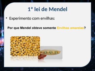 1ª lei de Mendel
• Experimento com ervilhas:
Por que Mendel obteve somente Ervilhas amarelas?
 