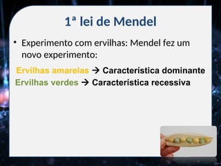 1ª lei de Mendel
• Experimento com ervilhas: Mendel fez um
novo experimento:
Ervilhas amarelas  Característica dominante
Ervilhas verdes  Característica recessiva
 