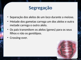 Segregação
• Separação dos alelos de um loco durante a meiose.
• Metade dos gametas carrega um dos alelos e outra
metade carrega o outro alelo.
• Os pais transmitem os alelos (genes) para os seus
filhos e não os genótipos.
• Crossing-over.
 