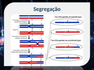 Segregação
 