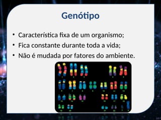 Genótipo
• Característica fixa de um organismo;
• Fica constante durante toda a vida;
• Não é mudada por fatores do ambiente.
 