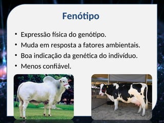 Fenótipo
• Expressão física do genótipo.
• Muda em resposta a fatores ambientais.
• Boa indicação da genética do indivíduo.
• Menos confiável.
 