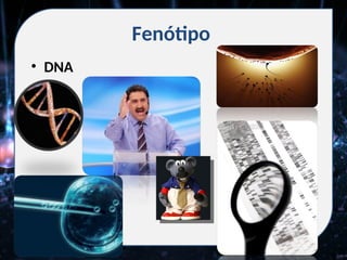 Fenótipo
• DNA
 