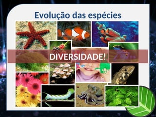 Evolução das espécies
DIVERSIDADE!
 