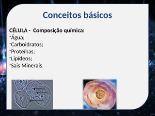 Conceitos básicos
CÉLULA - Composição química:
-Água;
-Carboidratos;
-Proteínas;
-Lipídeos;
-Sais Minerais.
 