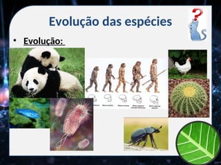 Evolução das espécies
• Evolução:
 