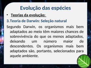 Evolução das espécies
• Teorias da evolução:
3.Teoria de Darwin: Seleção natural
Segundo Darwin, os organismos mais bem
adaptados ao meio têm maiores chances de
sobrevivência do que os menos adaptados,
deixando um número maior de
descendentes. Os organismos mais bem
adaptados são, portanto, selecionados para
aquele ambiente.
 
