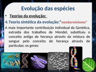 Evolução das espécies
• Teorias da evolução:
4.Teoria sintética da evolução:“neodarwinismo”
A mais importante contribuição individual da Genética,
extraída dos trabalhos de Mendel, substituiu o
conceito antigo de herança através da mistura de
sangue pelo conceito de herança através de
partículas: os genes
 