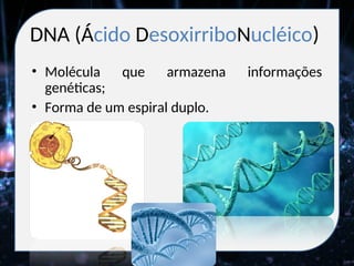 DNA (Ácido DesoxirriboNucléico)
• Molécula que armazena informações
genéticas;
• Forma de um espiral duplo.
 