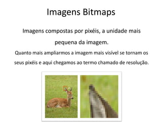 Imagens BitmapsImagens compostas por pixéis, a unidade mais pequena da imagem.Quanto mais ampliarmos a imagem mais visível se tornam os seus pixéis e aqui chegamos ao termo chamado de resolução. 