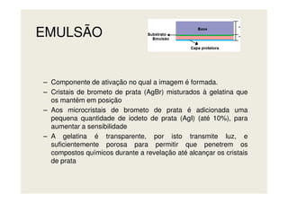 EMULSÃO
– Componente de ativação no qual a imagem é formada.
– Cristais de brometo de prata (AgBr) misturados à gelatina que
os mantém em posiçãoos mantém em posição
– Aos microcristais de brometo de prata é adicionada uma
pequena quantidade de iodeto de prata (AgI) (até 10%), para
aumentar a sensibilidade
– A gelatina é transparente, por isto transmite luz, e
suficientemente porosa para permitir que penetrem os
compostos químicos durante a revelação até alcançar os cristais
de prata
 