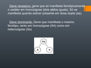 Gene recessivo: gene que só manifesta fenotipicamente
o caráter em homozigose (dois alelos iguais). Só se
manifesta quando estiver presente em dose dupla (aa).

 Gene dominante: Gene que manifesta o mesmo
fenótipo, tanto em homozigose (AA) como em
heterozigose (Aa).
 