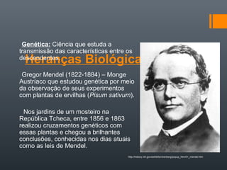 Genética: Ciência que estuda a
transmissão das características entre os
  Heranças Biológicas
descendentes.

 Gregor Mendel (1822-1884) – Monge
Austríaco que estudou genética por meio
da observação de seus experimentos
com plantas de ervilhas (Pisum sativum).

  Nos jardins de um mosteiro na
República Tcheca, entre 1856 e 1863
realizou cruzamentos genéticos com
essas plantas e chegou a brilhantes
conclusões, conhecidas nos dias atuais
como as leis de Mendel.
                                      http://history.nih.gov/exhibits/nirenberg/popup_htm/01_mendel.htm
 