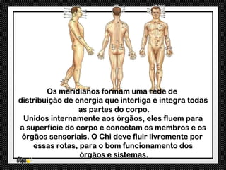 Os meridianos formam uma rede de
distribuição de energia que interliga e integra todas
                 as partes do corpo.
 Unidos internamente aos órgãos, eles fluem para
a superfície do corpo e conectam os membros e os
 órgãos sensoriais. O Chi deve fluir livremente por
    essas rotas, para o bom funcionamento dos
                 órgãos e sistemas.
 