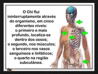 O Chi flui
ininterruptamente através
 do organismo, em cinco
     diferentes níveis:
     o primeiro e mais
   profundo, localiza-se
    dentro dos ossos;
o segundo, nos músculos;
   o terceiro nos vasos
 sanguíneos e linfáticos;
    o quarto na região
        subcutânea.
 