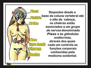 Dispostos desde a
base da coluna vertebral até
     o alto da cabeça,
     os chakras estão
  associados a um grupo
   de nervos denominado
   Plexo e às glândulas
        endócrinas,
     através dos quais
    cada um controla as
     funções corporais
      conhecidas pela
    medicina ocidental.
 