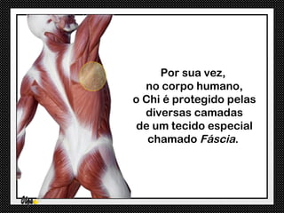Por sua vez,
  no corpo humano,
o Chi é protegido pelas
  diversas camadas
de um tecido especial
   chamado Fáscia.
 