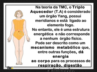 Na teoria da TMC, o Triplo
Aquecedor (T.A) é considerado
     um órgão Yang, possui
   meridianos e está ligado ao
         elemento fogo.
 No entanto, ele é uma estrutura
  energética e não corresponde
     a nenhum órgão físico.
   Pode ser descrito como um
mecanismo metabólico que,
    entre outras funções, dá
            energia
ao corpo para os processos de
    respiração, digestão
         e eliminação.
 