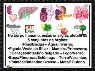 No corpo humano, essas energias afetam os
           5 conjuntos de órgãos:
        •Rins/Bexiga – Água/Inverno;
•Fígado/Vesícula Biliar – Madeira/Primavera;
  •Coração/Intestino delgado – Fogo/Verão;
•Baço/Pâncreas/Estômago – Terra/Veranico;
 •Pulmões/Intestino Grosso – Metal/ Outono.
 