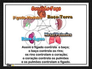 Assim o fígado controla o baço;
     o baço controla os rins;
   os rins controlam o coração;
 o coração controla os pulmões
e os pulmões controlam o fígado.
 