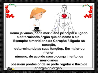 Como já vimos, cada meridiano principal é ligado
    a determinado órgão que dá nome a ele.
  Exemplo: o meridiano do Coração é ligado ao
                   coração,
   determinando as suas funções. Em maior ou
                    menor
   número, de acordo com o comprimento, os
                  meridianos
possuem pontos onde se pode regular o fluxo de
               energia do órgão.
 