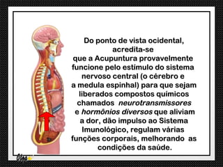 Do ponto de vista ocidental,
            acredita-se
 que a Acupuntura provavelmente
funcione pelo estímulo do sistema
   nervoso central (o cérebro e
a medula espinhal) para que sejam
  liberados compostos químicos
  chamados neurotransmissores
 e hormônios diversos que aliviam
   a dor, dão impulso ao Sistema
   Imunológico, regulam várias
funções corporais, melhorando as
        condições da saúde.
 
