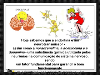 Hoje sabemos que a endorfina é um
               neurotransmissor -
  assim como a noradrenalina, a acetilcolina e a
dopamina - uma substância química utilizada pelos
 neurônios na comunicação do sistema nervoso,
                     sendo
    um fator fundamental para garantir o bom
                 funcionamento
    do organismo, nos casos de stress, ou em
 