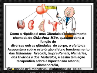 Como a Hipófise é uma Glândula ocasionalmente
   chamada de Glândula Mãe , que coordena a
                     função de
  diversas outras glândulas do corpo, o efeito da
Acupuntura sobre este órgão afeta o funcionamento
 das Glândulas Tireóide, Supra Renais, Mamárias,
  dos Ovários e dos Testículos, e assim tem ação
      terapêutica sobre a hipertensão arterial,
                   dismenorréia,
    tensão pré-menstrual, disfunções da libido,
 